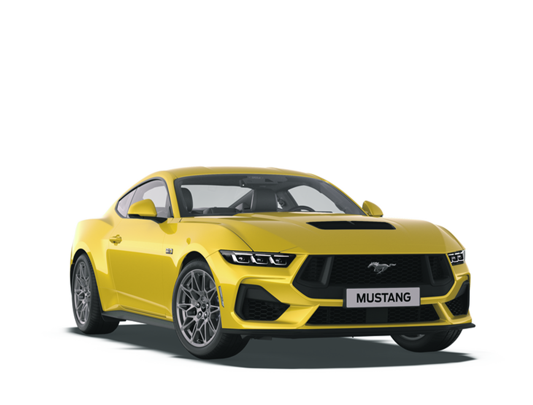 NOVI MUSTANG